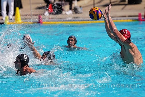 USAWP NL: Newport Cardinals  vs Aggies