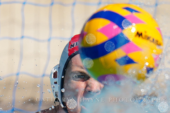 USAWP NL: Newport Cardinals  vs Aggies