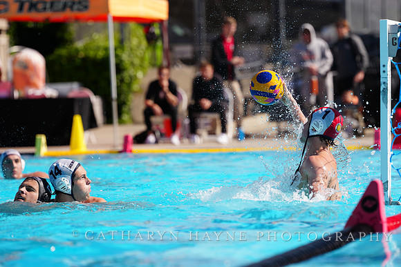 USAWP NL: Newport Cardinals  vs Aggies