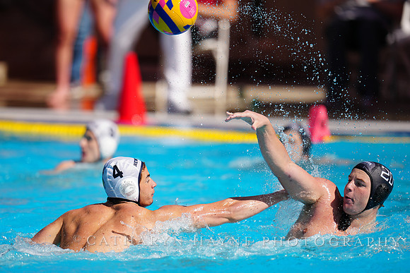 USAWP NL: Newport Cardinals  vs Aggies