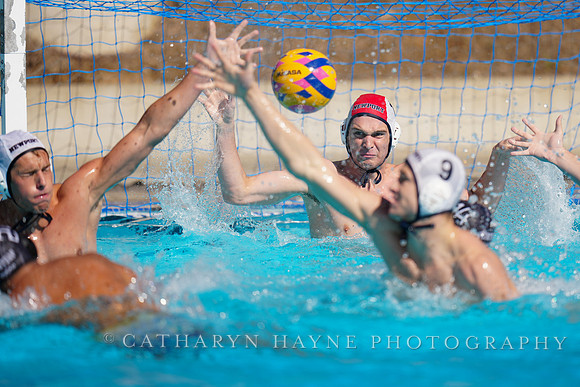 USAWP NL: Newport Cardinals  vs Aggies