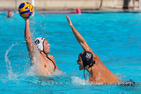 USAWP NL: Newport Cardinals  vs Aggies