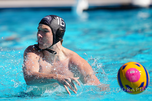 USAWP NL: Newport Cardinals  vs Aggies