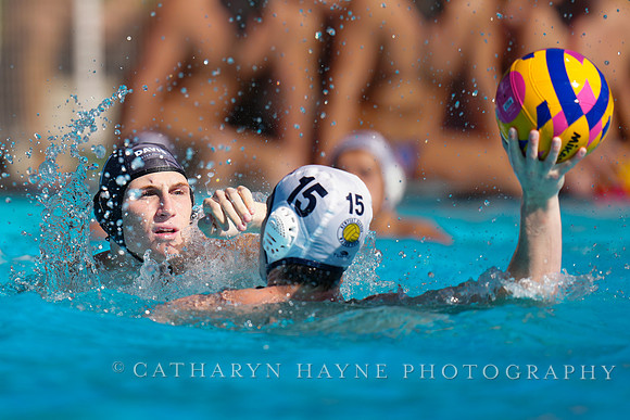 USAWP NL: Newport Cardinals  vs Aggies