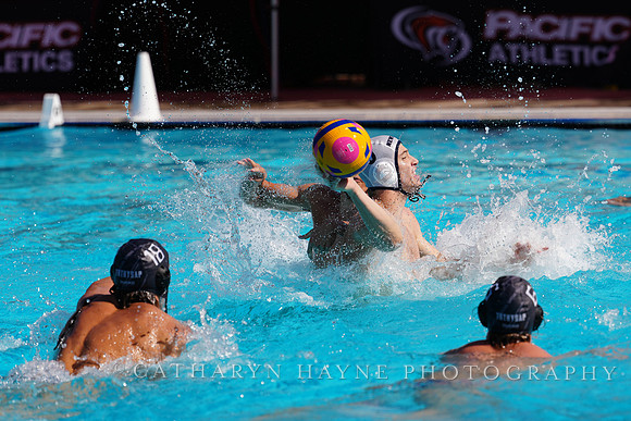 USAWP NL: Newport Cardinals  vs Aggies