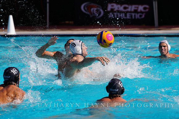 USAWP NL: Newport Cardinals  vs Aggies
