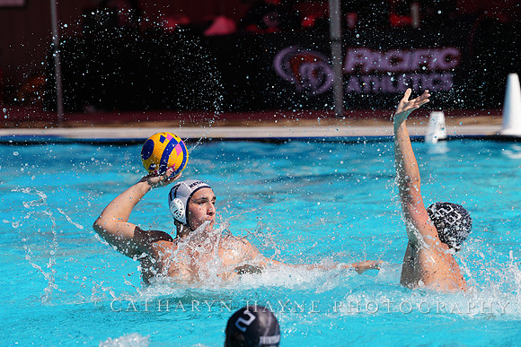 USAWP NL: Newport Cardinals  vs Aggies