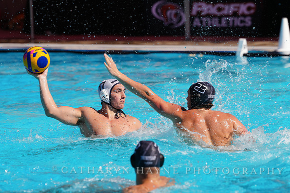 USAWP NL: Newport Cardinals  vs Aggies