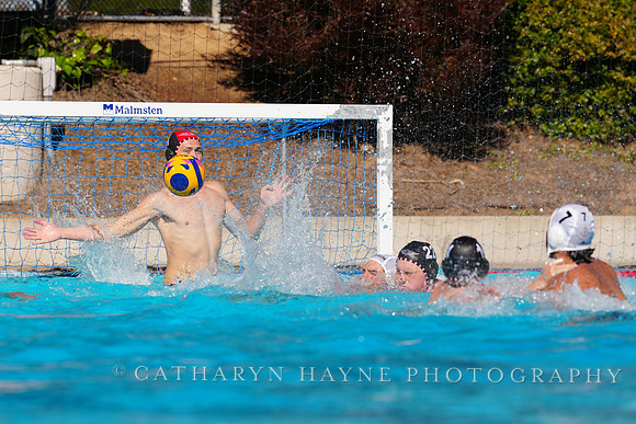 USAWP NL: Golden Bears vs NL Broncos