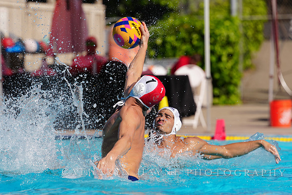 USAWP NL: Golden Bears vs NL Broncos