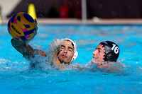 USAWP NL: Golden Bears vs NL Broncos