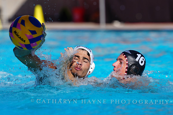USAWP NL: Golden Bears vs NL Broncos
