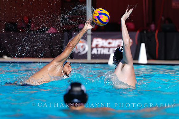 USAWP NL: Golden Bears vs NL Broncos