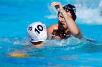 USAWP NL: Golden Bears vs NL Broncos