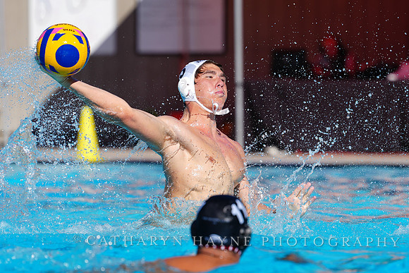 USAWP NL: Golden Bears vs NL Broncos