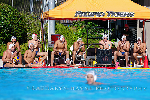 USAWP NL: Golden Bears vs NL Broncos