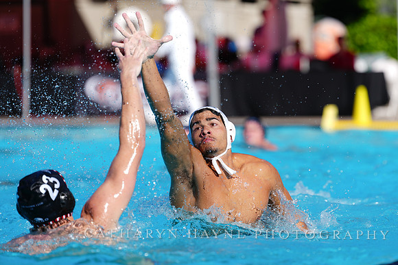 USAWP NL: Golden Bears vs NL Broncos