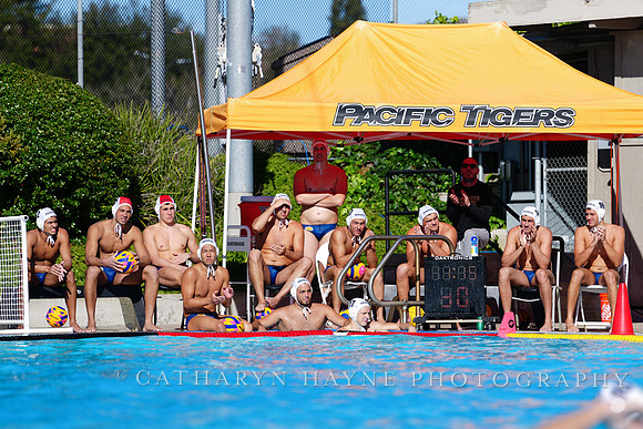USAWP NL: Golden Bears vs NL Broncos