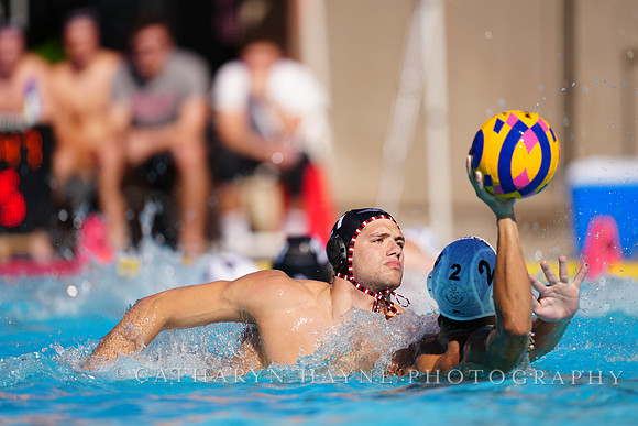 USAWP NL: Golden Bears vs NL Broncos
