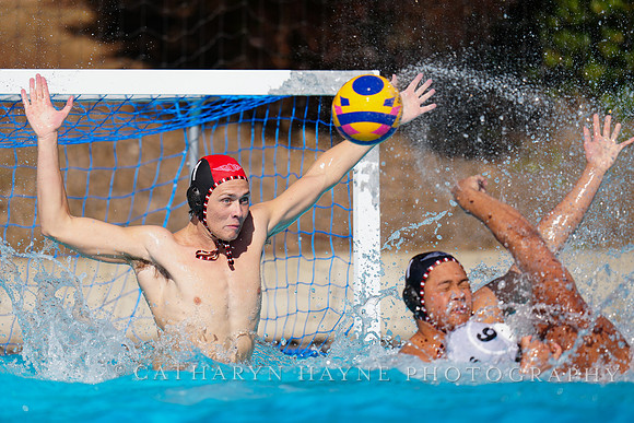 USAWP NL: Golden Bears vs NL Broncos