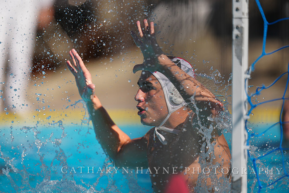 USAWP NL: Golden Bears vs NL Broncos
