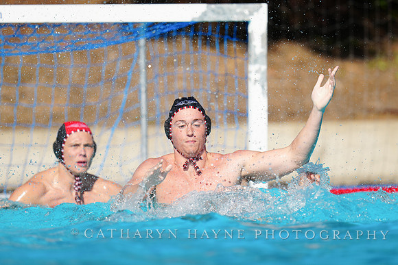USAWP NL: Golden Bears vs NL Broncos