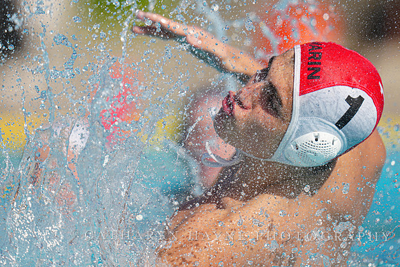USAWP NL: Golden Bears vs NL Broncos