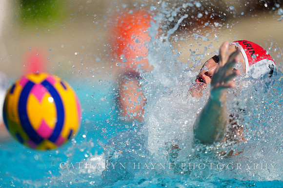 USAWP NL: Golden Bears vs NL Broncos