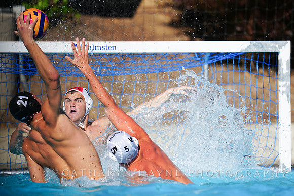 USAWP NL: Golden Bears vs NL Broncos