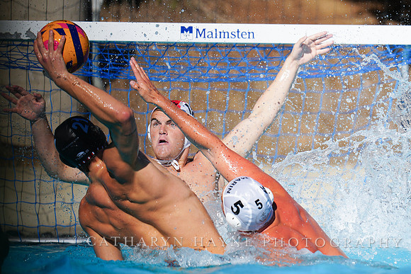 USAWP NL: Golden Bears vs NL Broncos