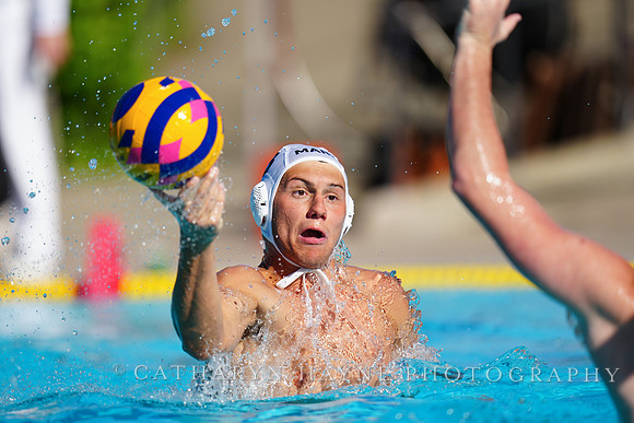 USAWP NL: Golden Bears vs NL Broncos