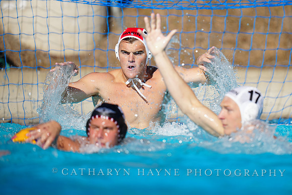 USAWP NL: Golden Bears vs NL Broncos