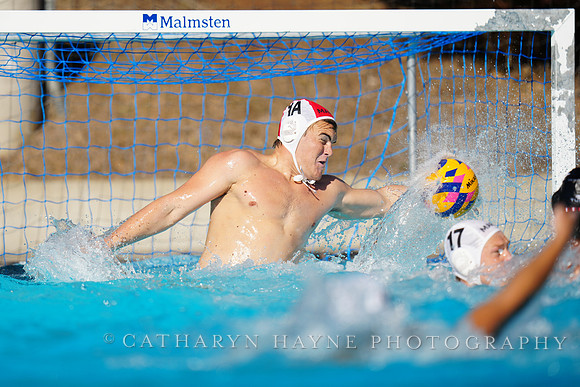 USAWP NL: Golden Bears vs NL Broncos