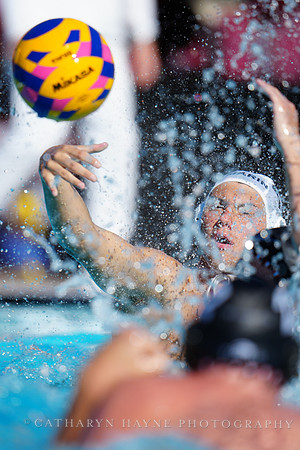 USAWP NL: Golden Bears vs NL Broncos