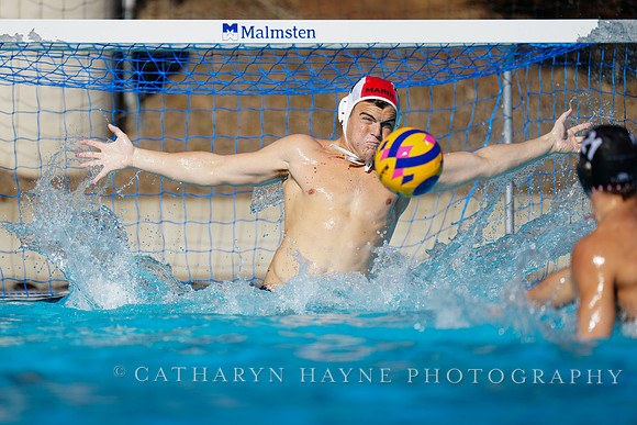 USAWP NL: Golden Bears vs NL Broncos