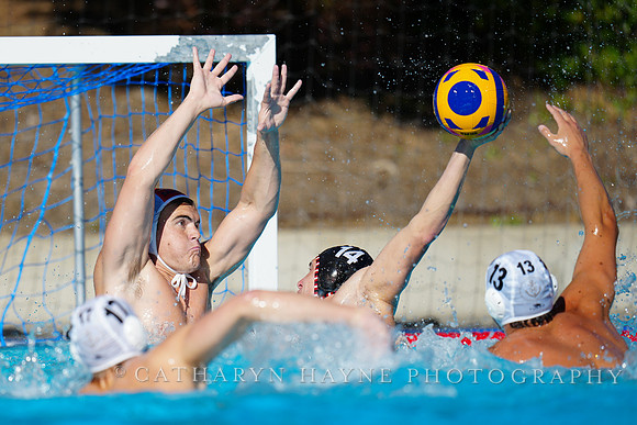 USAWP NL: Golden Bears vs NL Broncos