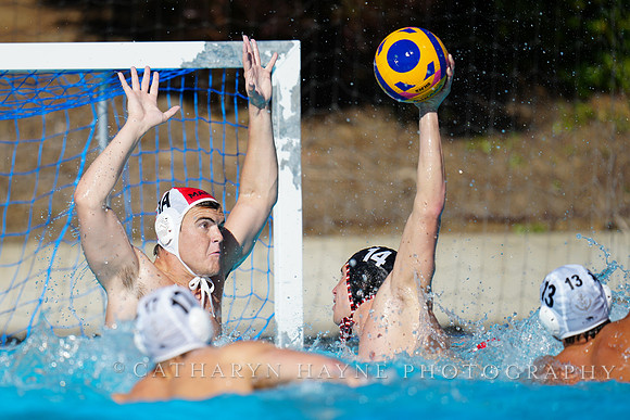 USAWP NL: Golden Bears vs NL Broncos