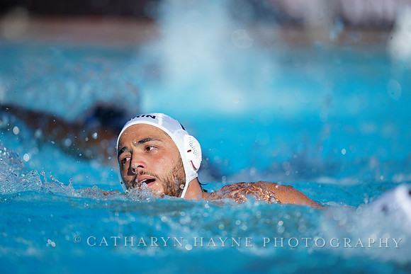 USAWP NL: Golden Bears vs NL Broncos