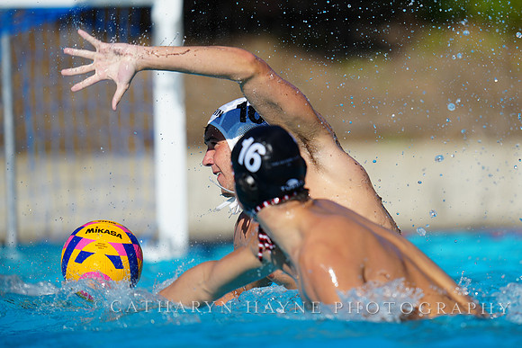 USAWP NL: Golden Bears vs NL Broncos
