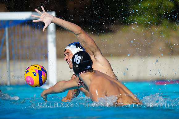 USAWP NL: Golden Bears vs NL Broncos