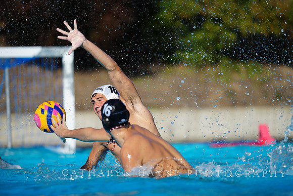 USAWP NL: Golden Bears vs NL Broncos