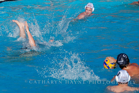 USAWP NL: Olympic Club vs Aggies