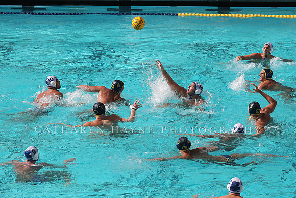 Collegiate Mens Water Polo: California Golden Bears vs UC Santa Barbara Gauchos
