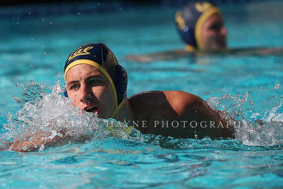 Collegiate Mens Water Polo: California Golden Bears vs UC Santa Barbara Gauchos