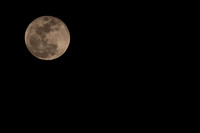 Full Moon Alameda