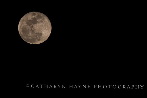 Full Moon Alameda