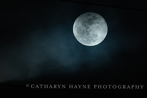 Full Moon Alameda