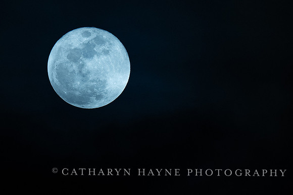 Full Moon Alameda