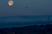 Moonset over San Francisco