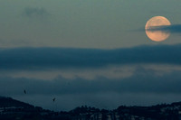 Moonset over San Francisco